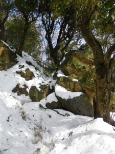 岩と雪がまだら